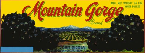 Mountain Gorge